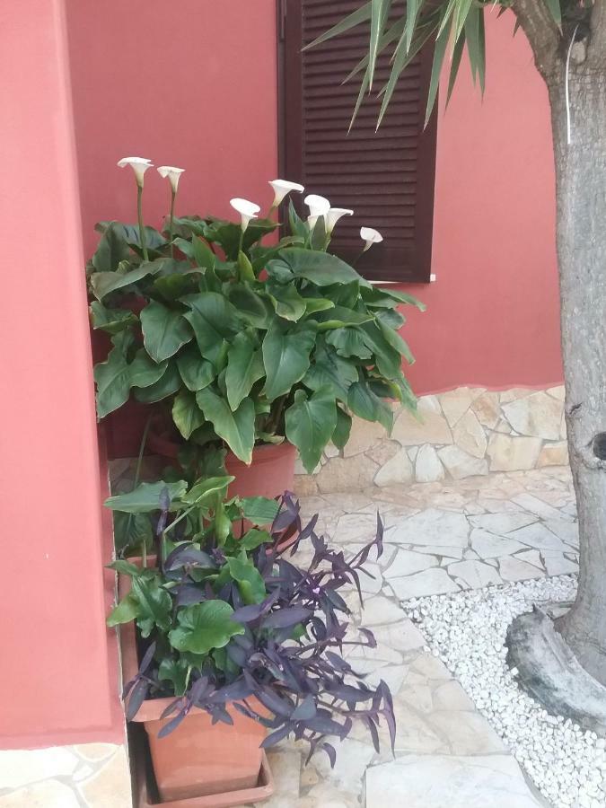 Stella Hotel Quartu Sant'Elena Luaran gambar